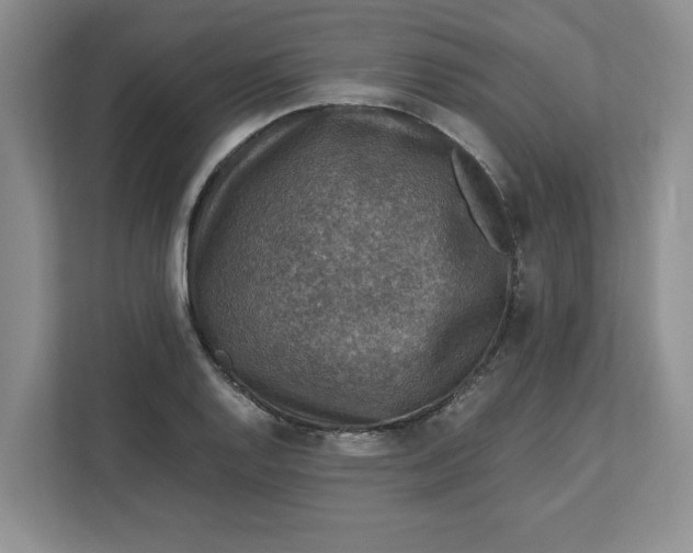 X0000112951128200909141402