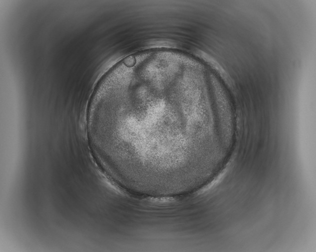 X0000112951129200909141402