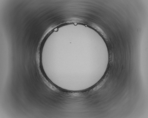 X0000112951130200909141402