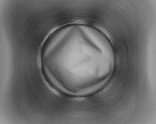 X0000112951131200909141402