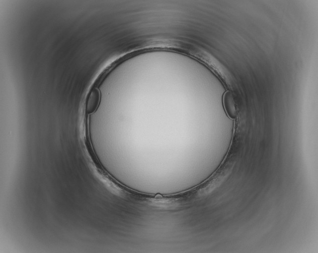 X0000112951132200909141402