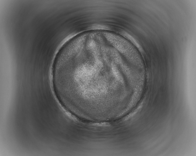 X0000112951133200909141402