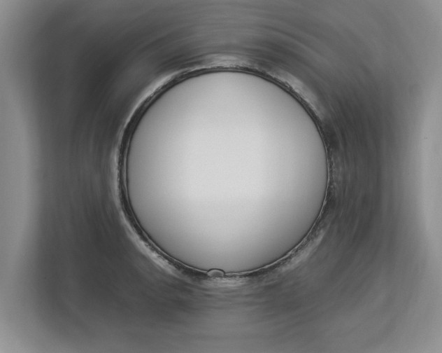 X0000112951134200909141402