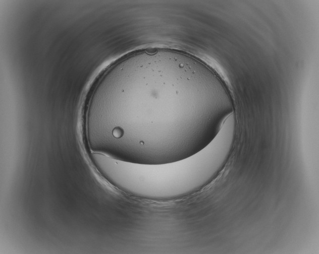 X0000112951136200909141402