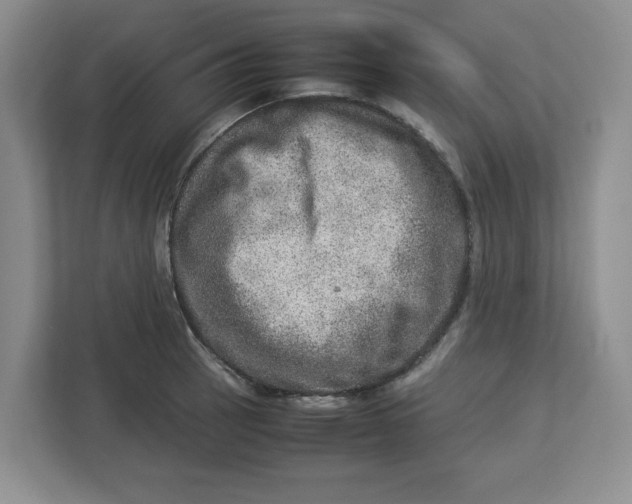 X0000112951137200909141402