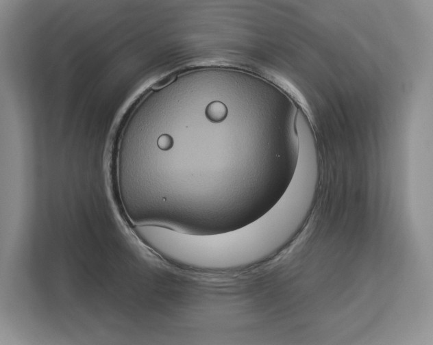 X0000112951138200909141402