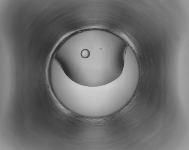 X0000112951140200909141402