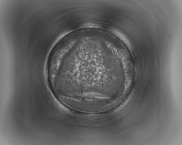 X0000112951141200909141402