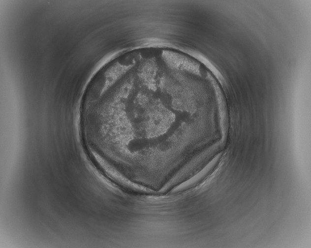 X0000112951142200909141402