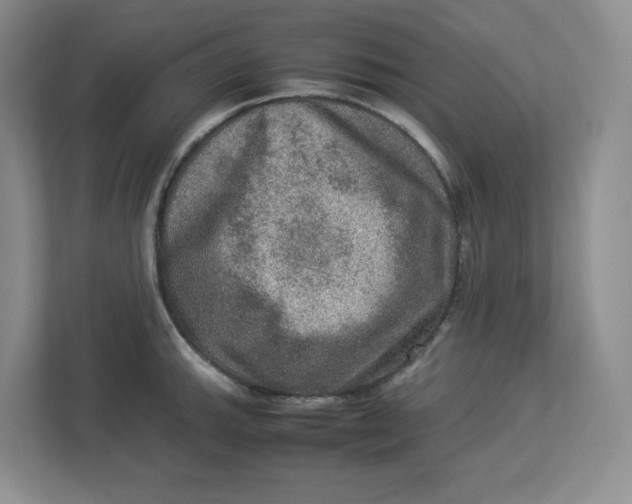 X0000112951143200909141402