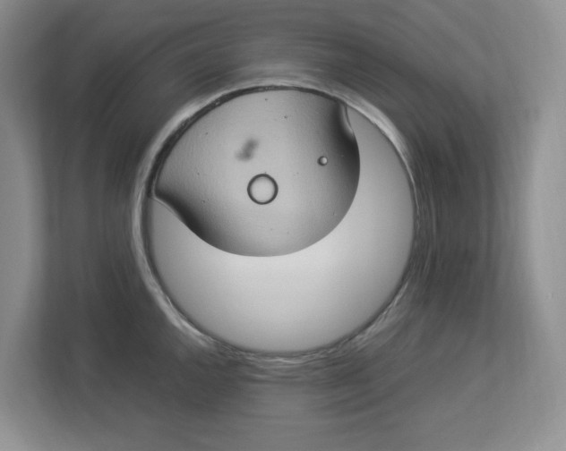 X0000112951144200909141402