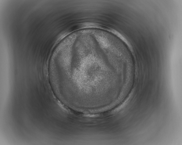 X0000112951145200909141402