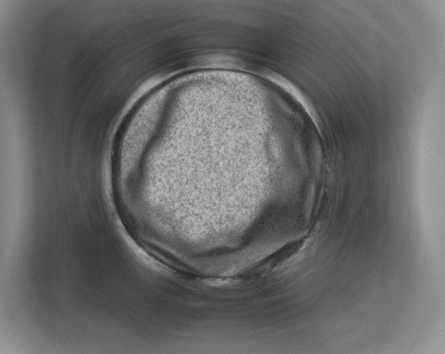 X0000112951147200909141402