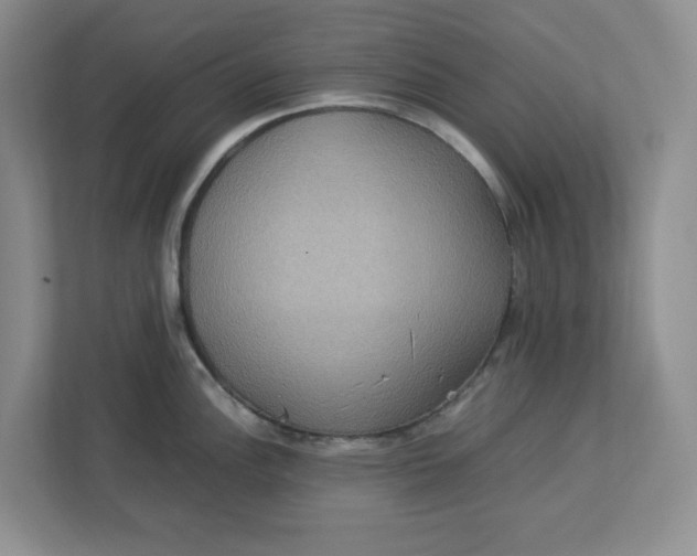 X0000112951148200909141402