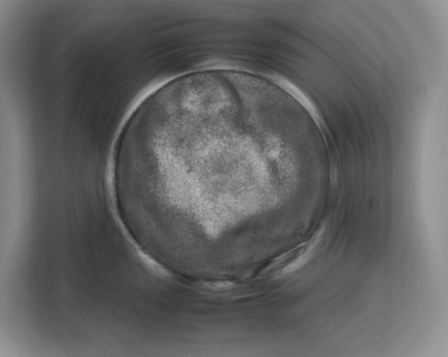 X0000112951149200909141402