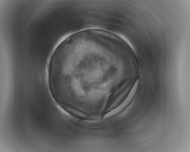 X0000112951151200909141402