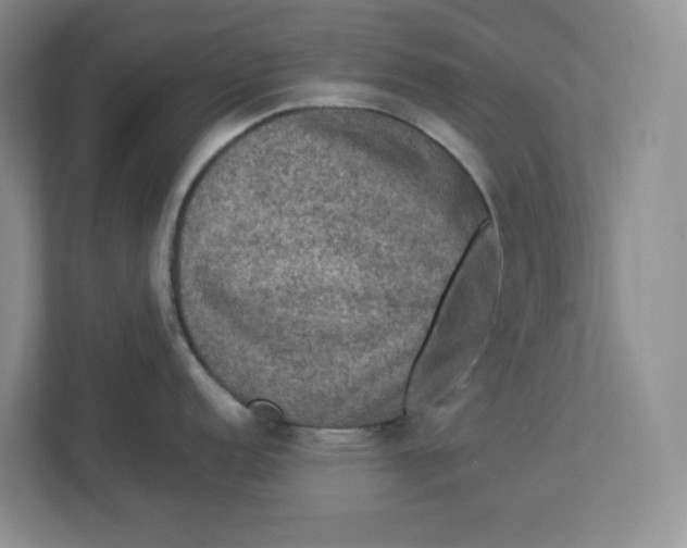 X0000112951152200909141402