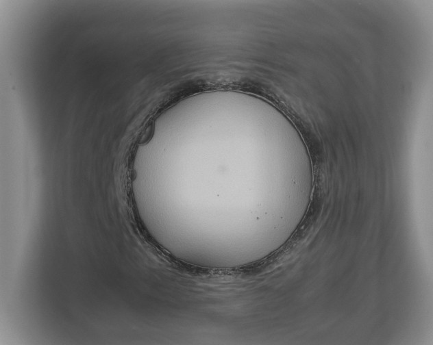 X0000112951153200909141402