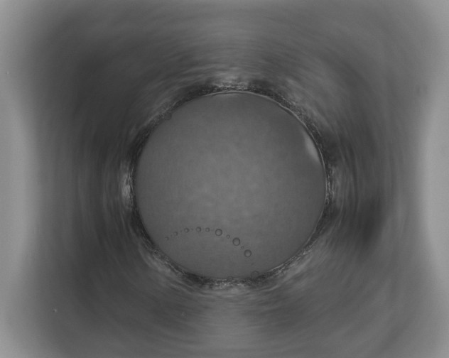 X0000112951154200909141402