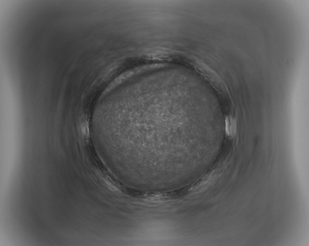 X0000112951155200909141401