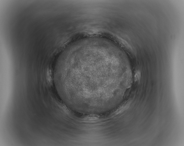 X0000112951156200909141401