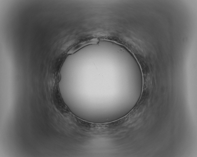 X0000112951157200909141401