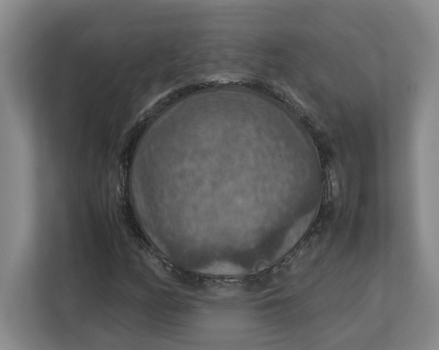 X0000112951158200909141401