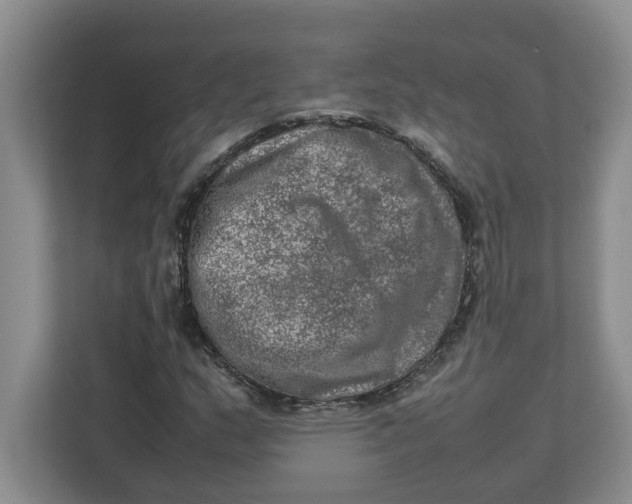 X0000112951159200909141401