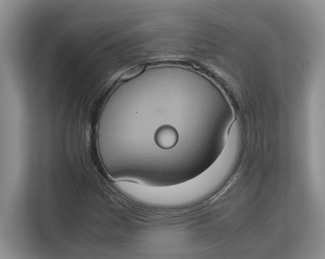 X0000112951161200909141401