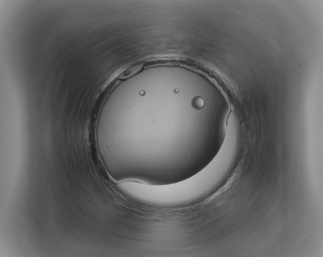 X0000112951162200909141401