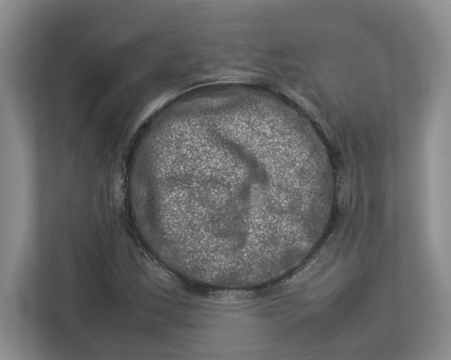 X0000112951163200909141401