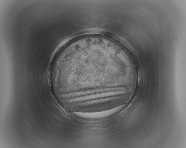 X0000112951164200909141401