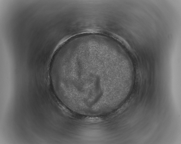 X0000112951168200909141401