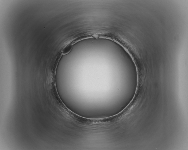 X0000112951169200909141401