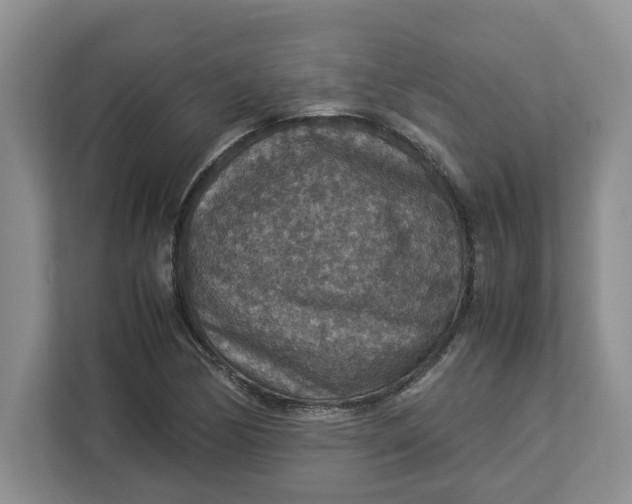 X0000112951170200909141401