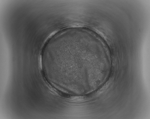 X0000112951171200909141401