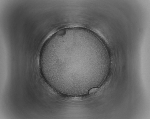 X0000112951173200909141401