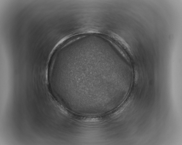 X0000112951174200909141401