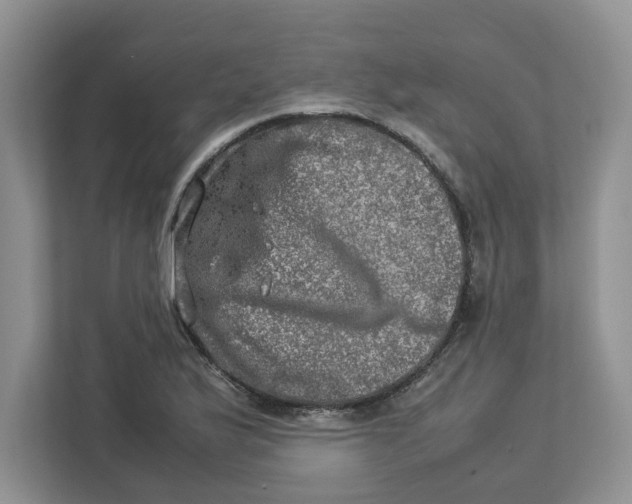 X0000112951175200909141401