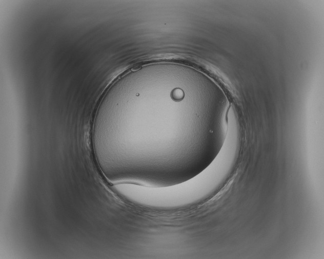 X0000112951177200909141401