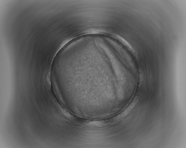 X0000112951178200909141401