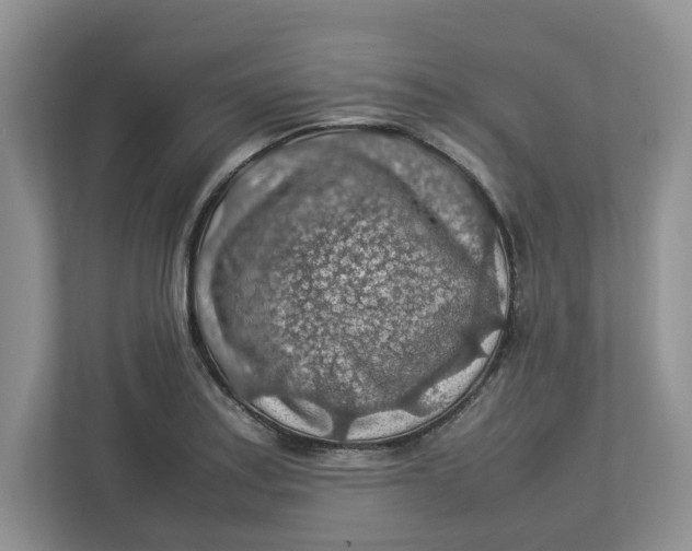 X0000112951179200909141401