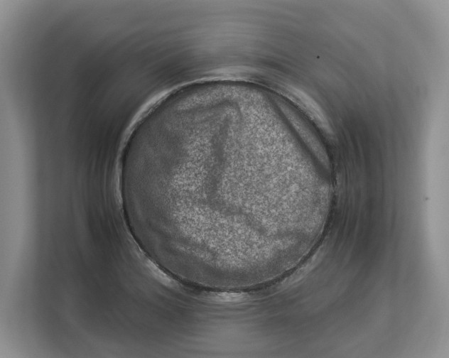 X0000112951180200909141401