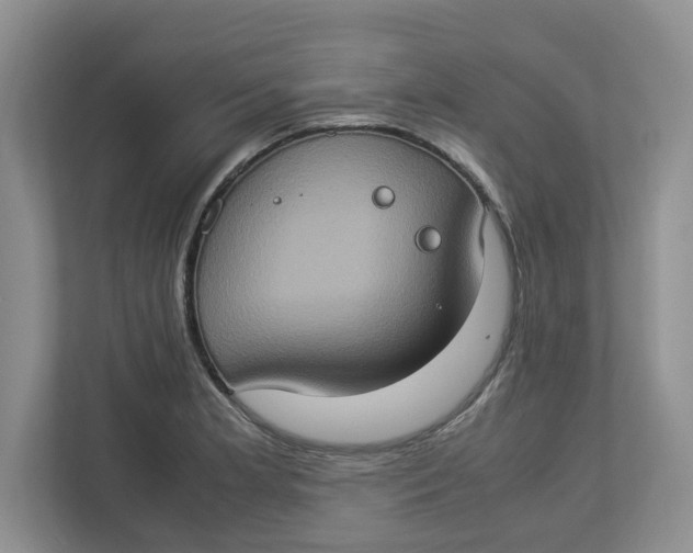 X0000112951181200909141401