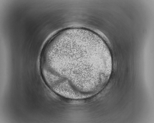 X0000112951183200909141401