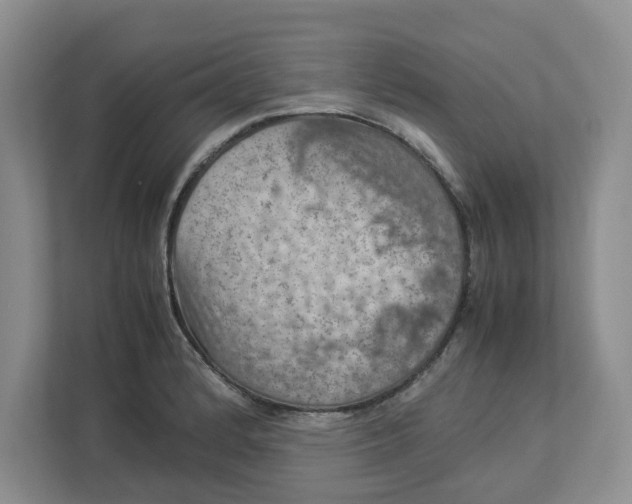 X0000112951184200909141401