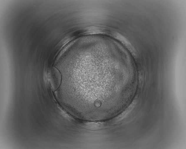 X0000112951185200909141401