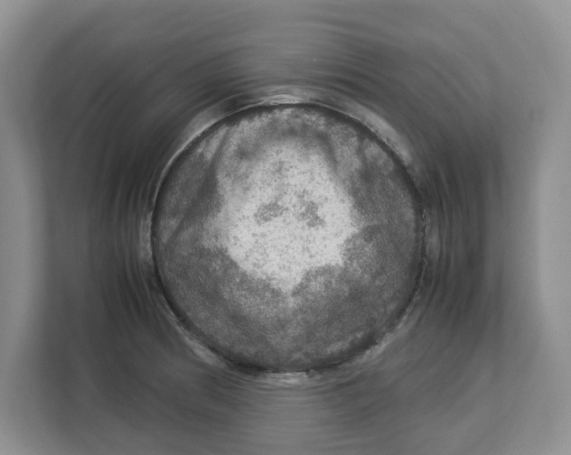 X0000112951186200909141401