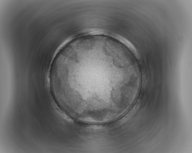 X0000112951190200909141401