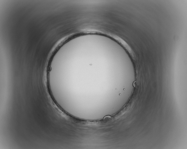 X0000112951191200909141401